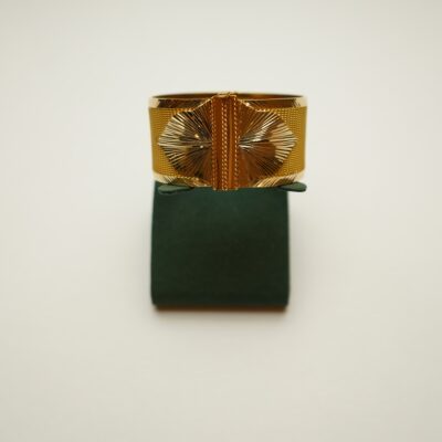 Gunes Model Kalin Kelepce